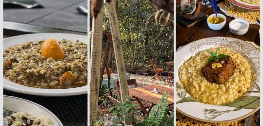 Imagem da Estação de rádio online Plus