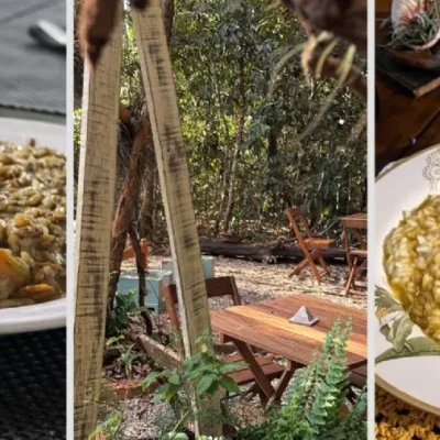 Imagem da Estação de rádio online Plus